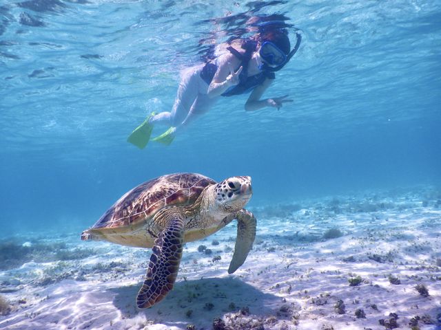 񂳂̃P}JbNZ^[̓eʐ^4