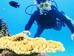 [C`̐̓A@Dive@ւ̓eʐ^5