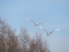 yosshy̒ߋEɓ^`ETN`Aւ̓eʐ^10