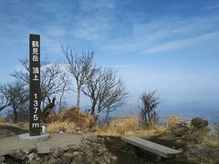 e[[̕ʕ{[vEFCւ̓eʐ^1