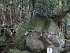 Yanwenli̐_J_Ёi_J{jւ̓eʐ^2