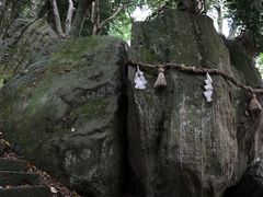 Yanwenli̐_J_Ёi_J{jւ̓eʐ^3