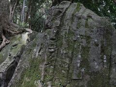 Yanwenli̐_J_Ёi_J{jւ̓eʐ^4