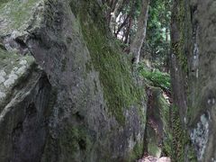 Yanwenli̐_J_Ёi_J{jւ̓eʐ^5