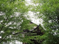 Yanwenli̐_J_Ёi_J{jւ̓eʐ^6