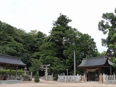 Yanwenli̐_J_Ёi_J{jւ̓eʐ^7