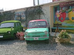 �݂�тЂ߂���̔_���K�[�f���� �R�����r�_���ւ̓��e�ʐ^1