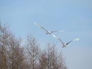 yosshy̒ߋEɓ^`ETN`A̓eʐ^10