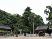 Yanwenli̐_J_Ёi_J{j̓eʐ^7