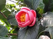 ̋vĎsÊ΂ق̓eʐ^1