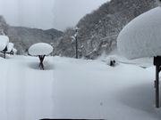 ߂߂̃tBbVOK[fzJ̓eʐ^1