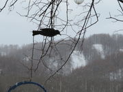 yosshŷǁEE݁EӂE̓eʐ^3