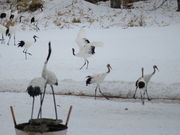 yosshŷǁEE݁EӂE̓eʐ^4