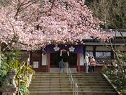 天神 藤川