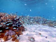 񂳂̃P}JbNZ^[̓eʐ^2