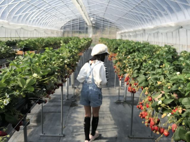 ��������7��I_������������