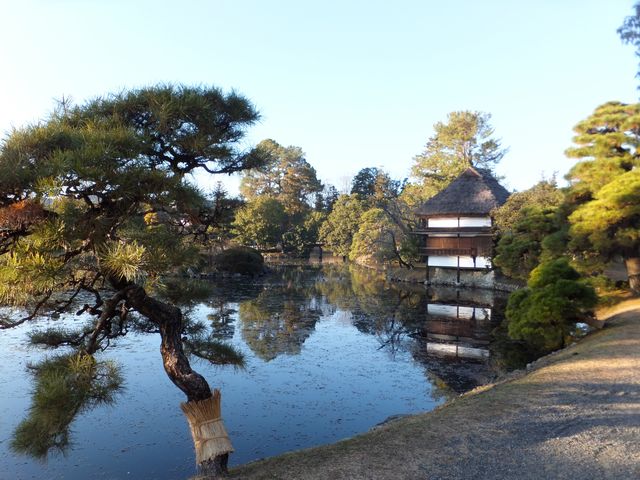 池の畔に佇む風月軒_衆楽園