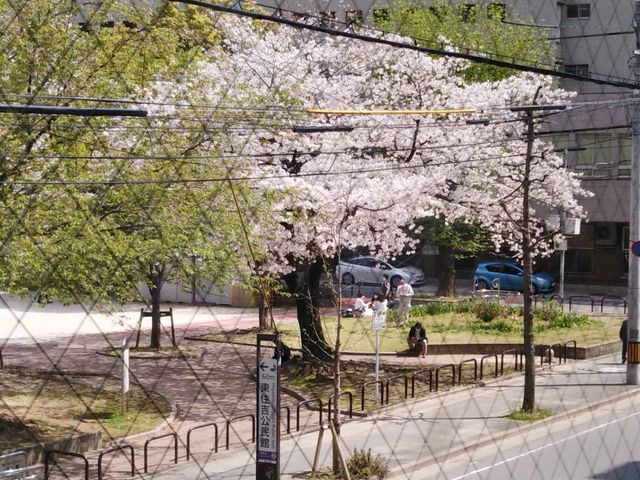 3��24�� ���J�̍�_���S�������z�e��