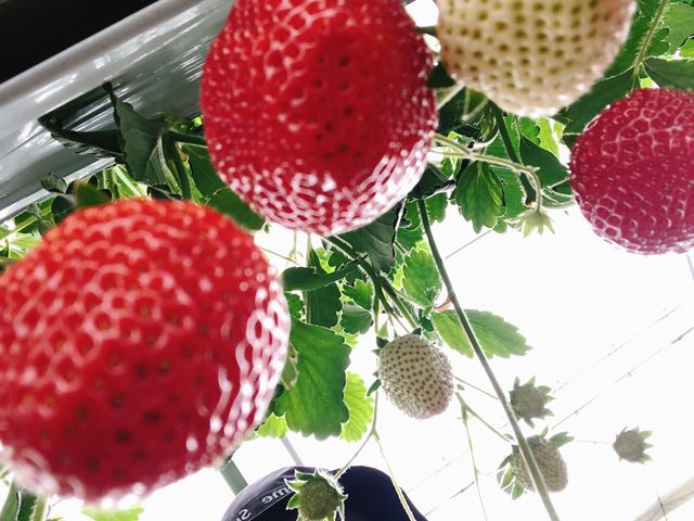 ���܁`���C�`�S_�i�`��������