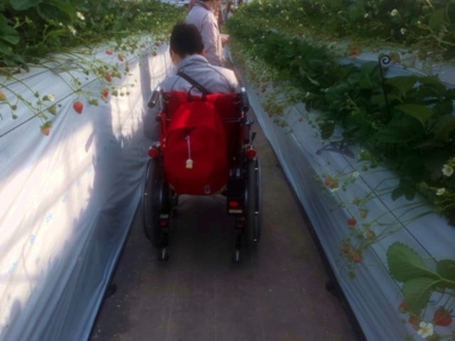 �ʘH�ł̃N���}�֎q�̗l�q�B
�Ƃ���ǂ��닷���ꏊ������A�����̓N���}�֎q�̕��M���M���ł���_�z���܂�_��