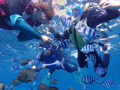 ݁[񂳂Divingshop Ryoւ̓eʐ^1