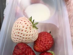 ݂̂Eu[x[_@x[̋ւ̓eʐ^1