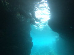 l̐̓A@Dive@ւ̓eʐ^1