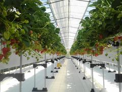 }̃AOX^[XyVւ̓eʐ^1