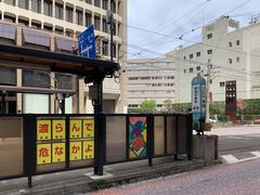 �X�^�[����̒���d�C�O���i����̘H�ʓd�ԁj�ւ̓��e�ʐ^1