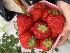 񂳂̂킹͂邢_HappyComeComeւ̓eʐ^1