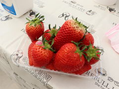 ォ񂳂̃JExւ̓eʐ^1