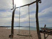 ���܂�����̕l�l�C������̓��e�ʐ^1