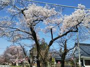 ^{剤̑{ʂ̍؂̓eʐ^1