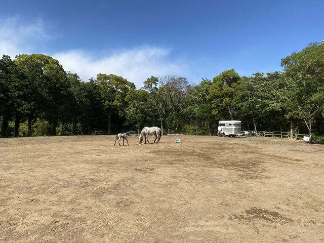 �V�C�ɂ��b�܂�čō��ł����I_HORSE BASE