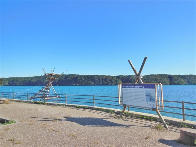 pӂꂠp[Nԏꂩ猩uڂ҂₮v_{҂₮