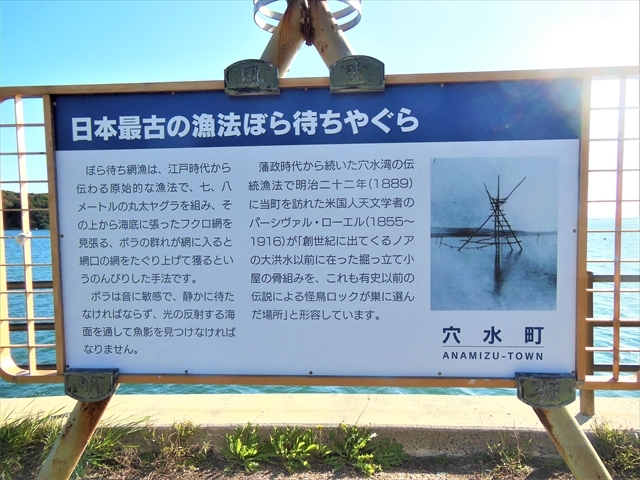 u{ŌÂ̋@ڂ҂₮Fv(pӂꂠp[N)_{҂₮