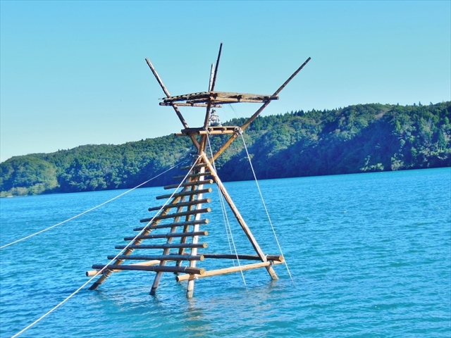 uڂ҂₮v(pӂꂠp[N)_{҂₮