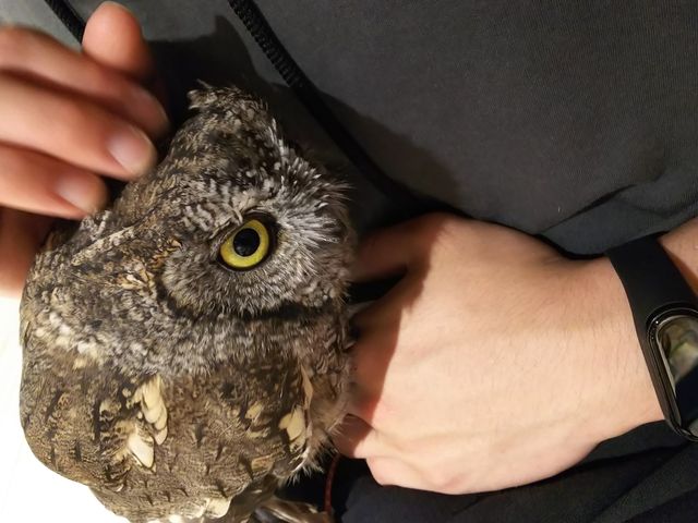 �ӂ��낤�̐��R�܂��邭��B�ƂĂ��������������q�ł����B_�ӂ��낤�̂���J�t�F�V�_