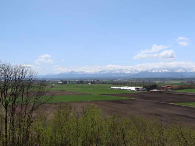 yosshy̔pm}p[N̓eʐ^1