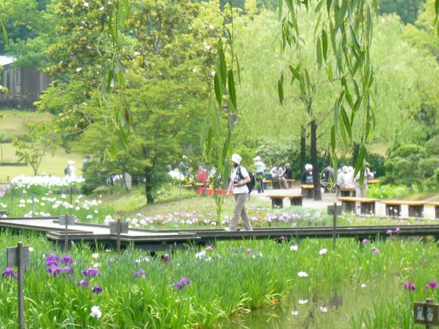 {뉀(Ԃ傤ԉ)̕i_LOE{뉀