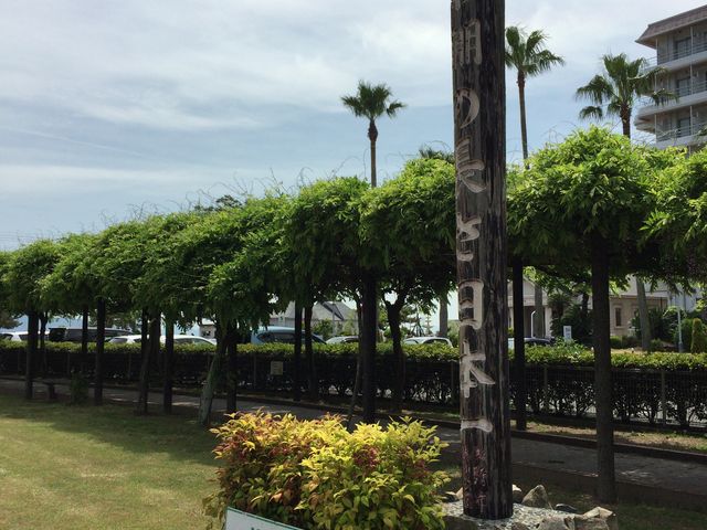 aC݂ɂ铡IB{炵łB_aC