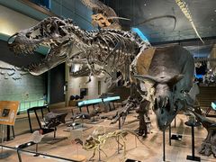 北九州市立いのちのたび博物館の写真一覧 2ページ目 じゃらんnet