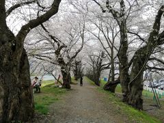 ̂肳̕Oؓ̍؂ւ̓eʐ^1