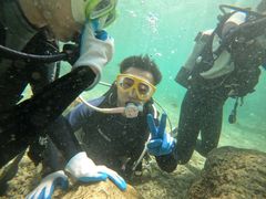 `Ej̃_Cu (MalDive)ւ̓eʐ^1