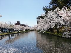 いざのりさんの弘前公園への投稿写真1