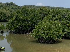 Ƃ̂΂鎩Rmւ̓eʐ^1