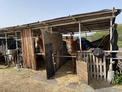 Riding Club Jobardߐ{ւ̓eʐ^2