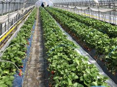 hiro䕉߃nEXւ̓eʐ^1