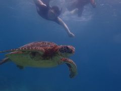 kaeĩRY~bNA[Xւ̓eʐ^1