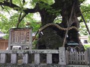 񂳂̒R_ЁiRÎRsj̓eʐ^5